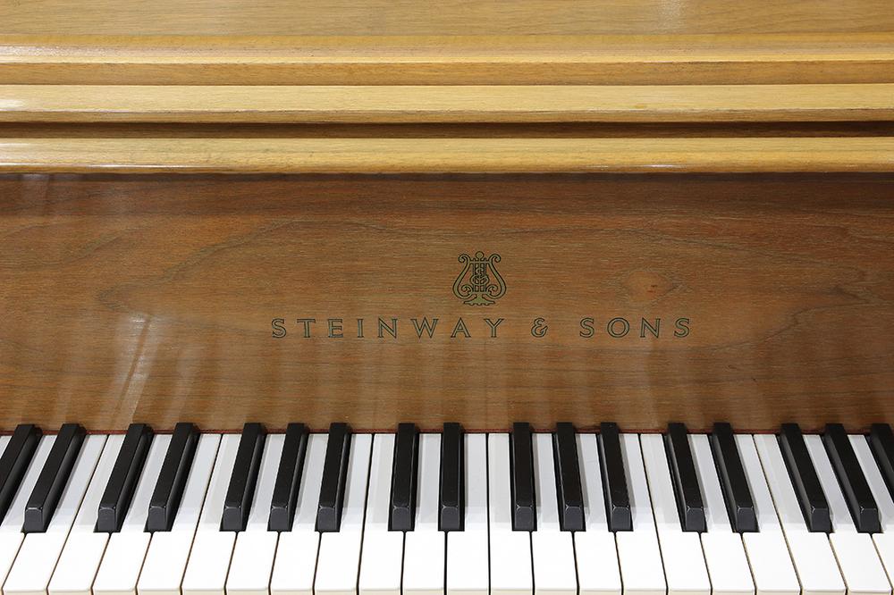 Rembrandt Piano Serial Number